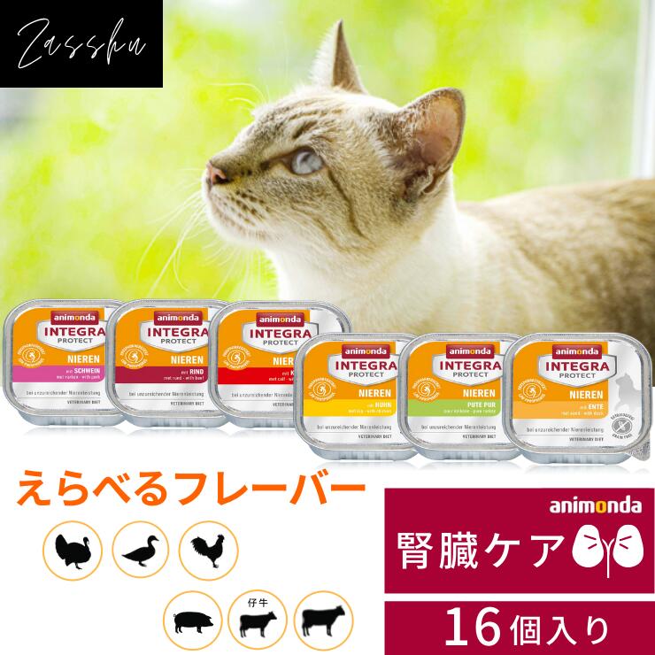 国産品 ８月入荷予定 アニモンダ 猫 鶏 単品 腎臓ケア 腎臓 腎臓サポート 療法食 食欲不振 プロテクト ウェット 缶詰 ウェットフード 猫用  低たんぱく 低リン 鳥 慢性腎不全 腎不全 ニーレン animonda チキン 猫鶏バラ qdtek.vn