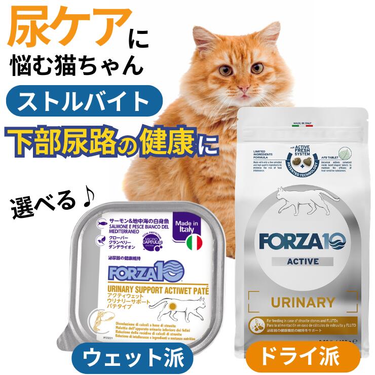 猫 ストルバイト 療法食 お試し【選べるウェット / ドライ】 猫用 ストルバイトフード 尿ケア 尿路結石 尿ケアフード 尿路結石フード 予防 ドライフード フォルツァ ストルバイト結石 餌 キャットフード 大容量 猫の餌 猫餌 子猫 cat food 療養食 forza10 ザッシュ zasshu｜ザッシュ Zasshu 9,856円