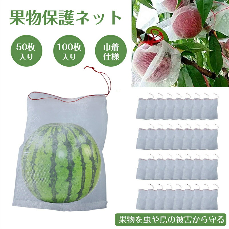 果物防御すること袋 果物防御すること御徒面子 木の実殺虫剤袋 木の実袋 害虫鳥避け メッシュ御徒面子 殺虫剤 サイバー空間 蔬菜 種入れ 鳥よけ網 防鳥 通気性 合財袋袋 50枚書き割り 35cm×25糎 合財袋袋 鳥よけ網 園芸装置 ガーデニング装置 フルーツ ガーデニング 身寄り家庭菜園 種入れ フルーツサイバー空間 木の実袋 光くぐり抜ける