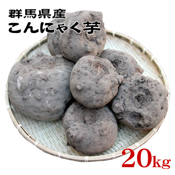 群馬県産】こんにゃく芋 箱込み10kg以内 手作りこんにゃく用【大きめサイズ】｜食品、飲料