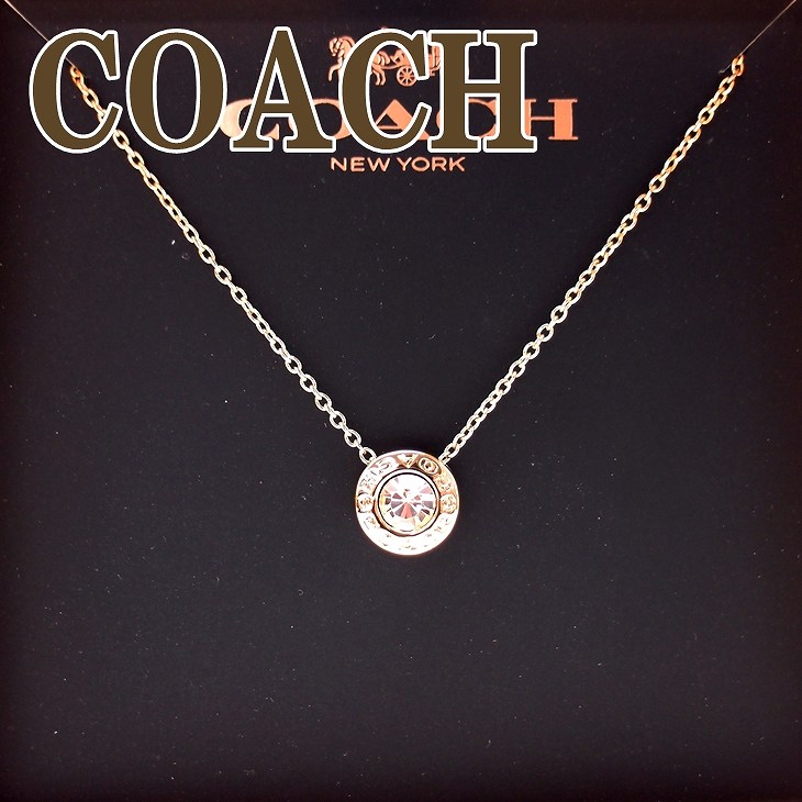 定番新作 COACH - コーチ ネックレス 950-GLD ペンダント アップル