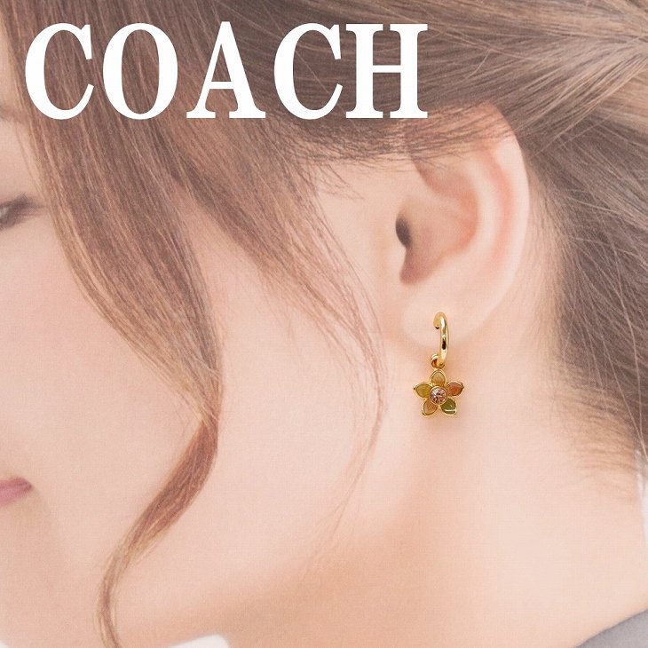 楽天市場】コーチ COACH ピアス ラインストーン 一粒ストーン 54516UWT