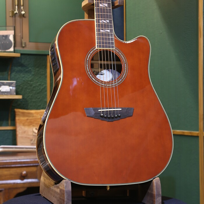 【アウトレット品】D'Angelico ディアンジェリコ エレアコ アコースティックギター Excel Bowery, Auburn ドレッドノート FISHMANピックアップ