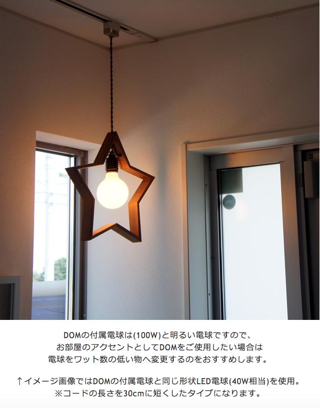 DOM /ドム APROZ / アプロス星型 天井照明 100W 日本製 ペンダント 