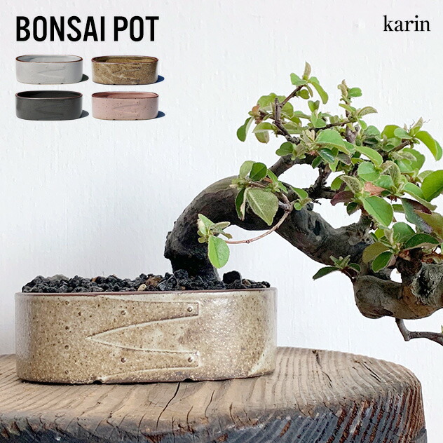 楽天市場 Bonsai Pot ボンサイ ポットkarin カリン 幅13cm 高さ4cm 盆栽 植物 プランター 鉢 ひと鉢 Detail Interiorzakka ｚｅｎ ｙｏｕ