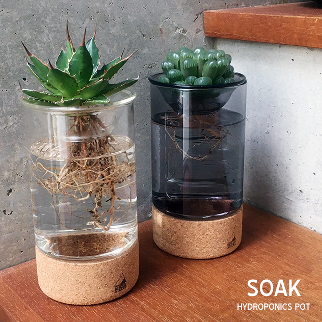 楽天市場 Soak Hydroponics Pot ソーク ハイドロポニックス ポットyard ヤード水耕栽培用 水栽培 ポット 球根 花瓶 多肉植物 フラワーベース 一輪挿し ガラス ポット ヒヤシンス ムスカリ サボテン ハイドロカルチャー 花器 おしゃれ Interiorzakka ｚｅｎ ｙｏｕ