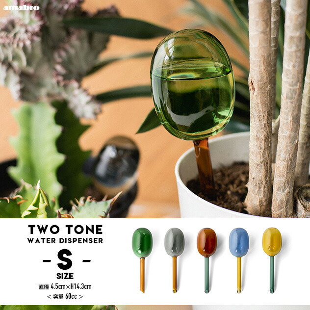 ドライフラワー 花材》☆即日出荷☆大地農園 マグノリアリーフ