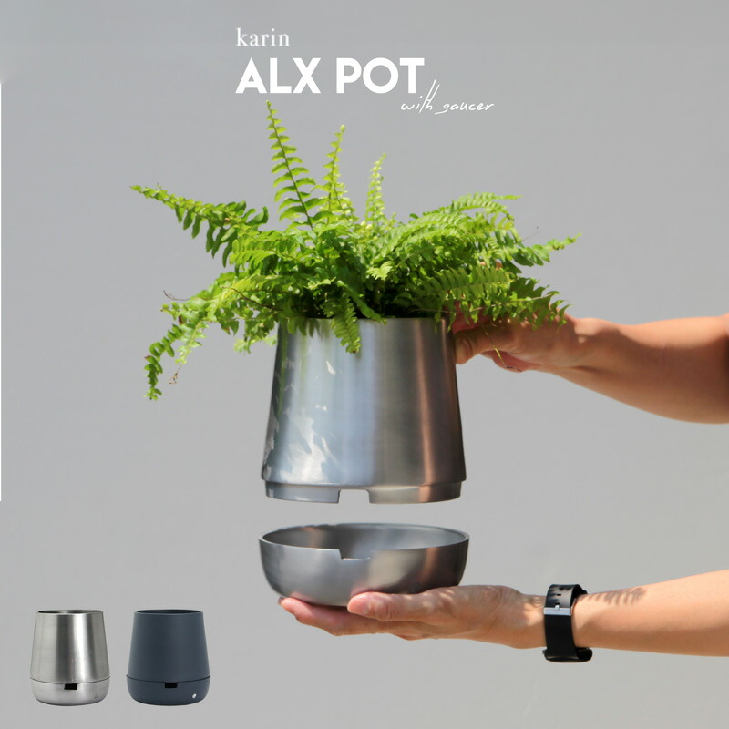 Lotus Petal 4枚セット JJZXD アフタヌーンティーティーセットウォーターセットホーム