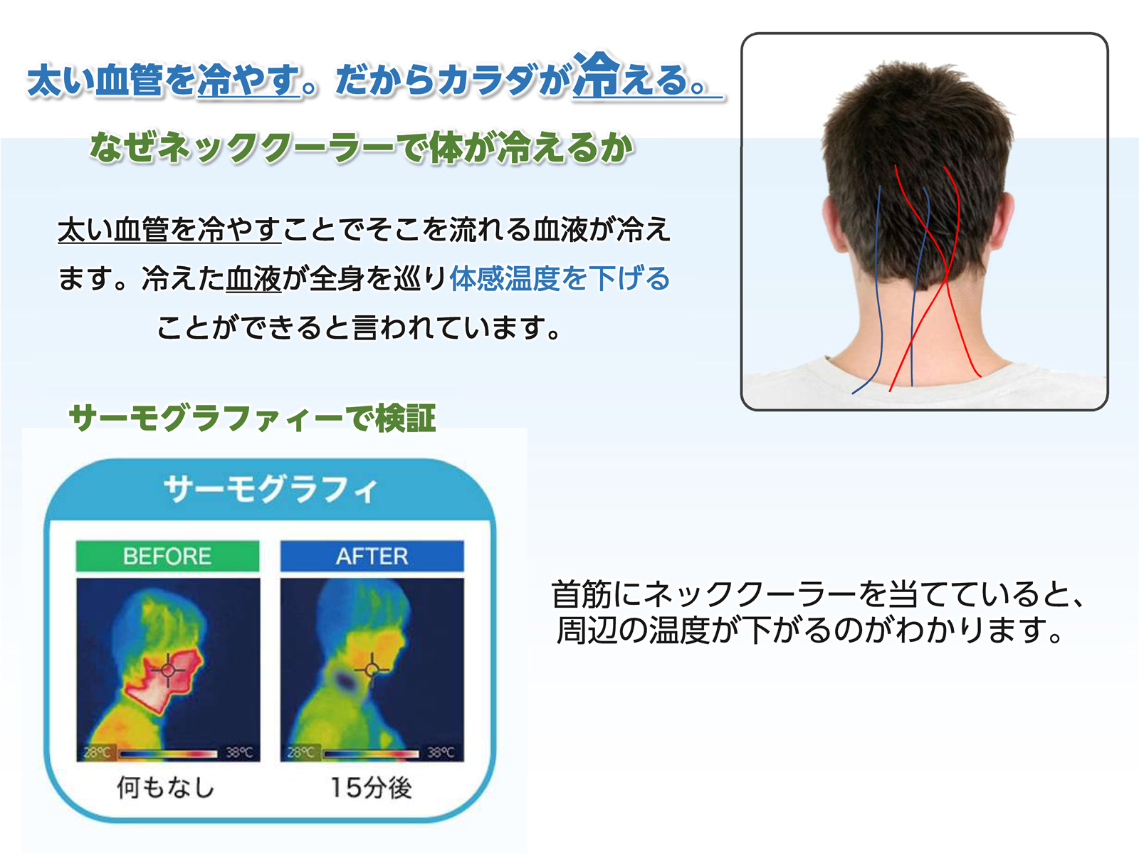 楽天市場 送料無料 ネッククーラー 首掛け扇風機 ハンズフリー 冷却プレート 携帯扇風機 Usb充電式 3段階風量 首すじ 冷却 小型 コンパクト ポータブル ひんやり 暑さ対策 熱中症対策 大容量 3000mah ギフト プレゼント 黒 Ct119 Zenctダイレクト楽天市場店