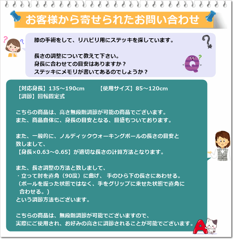 レビータ ネクスト 2教科書1一式 ノースウォーキング 竿 介護社会復帰 歩き つえ スティック 所蔵o社会的運動 トレッキング棒 トレッキングブイヨン 山登り役目杖 散歩用つえ 散歩用杖 運動用つえ 運動用杖 リハビリ用杖 リハビリ用つえ ポール ウォーキングポール シナノ