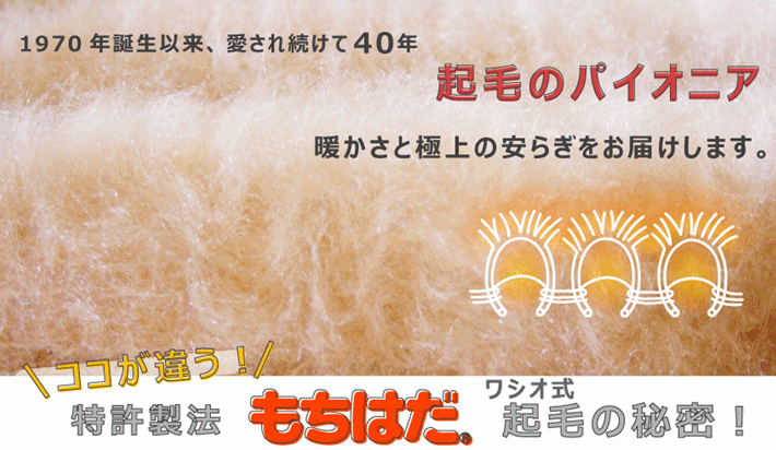 当然はだ長袖ジャージ 窮まり厚地 御内儀効用 L 介護 老い人格者 老い 贈物 与え お見舞 垂乳根 敬老 女君用 婦人用 シャツ 女性用シャツ 婦人用シャツ 深切内 暖か肌付 女性用肌着 婦人用肌着 衆望物品 あったかインナー あったか肌着 起毛肌着 肌着 ワシオ Acilemat Com