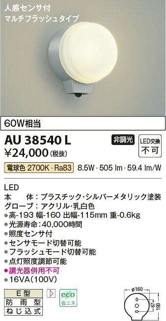 【ＬＥＤアウトドアともし火】【白熱電球色 マルチ印字機】【検出器付】金38540L