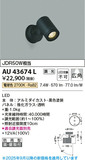【ＬＥＤアウトドアともし火】【白熱電球色 調光印字機(調光器別売)】金43674L 天井照明-ライト・照明器具