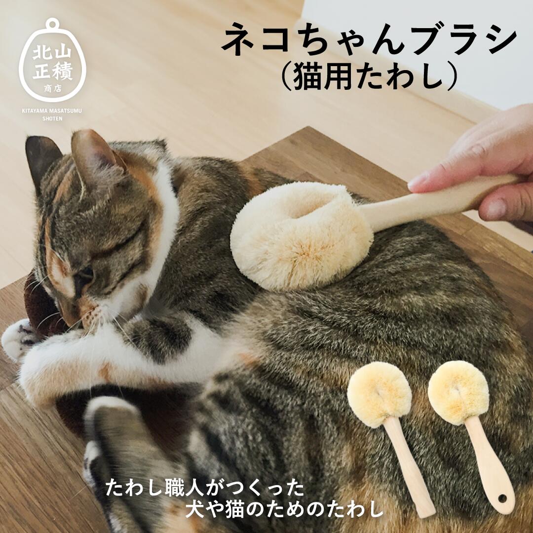 楽天市場】ネコちゃんブラシ 猫用 たわし ペットブラシ 北山正積商店 