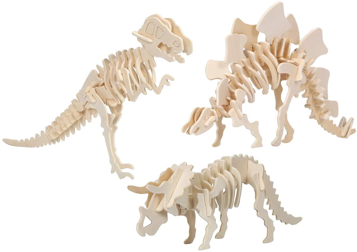 恐竜の頭部模型 Amazon | 菊石 カルノタウルス 骨格 頭蓋骨 恐竜