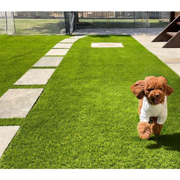 楽天市場】人工芝 芝丈30mm 1m×10m ふわふわターフ ハイエンド