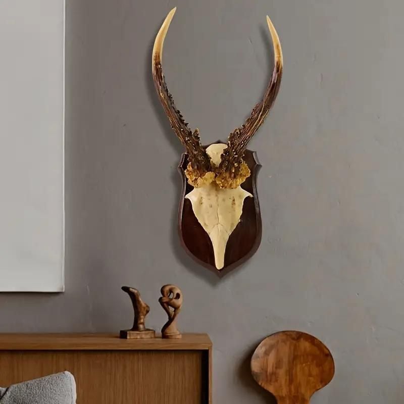 楽天市場】ハンティングトロフィー 牛骨 頭蓋骨 壁掛け