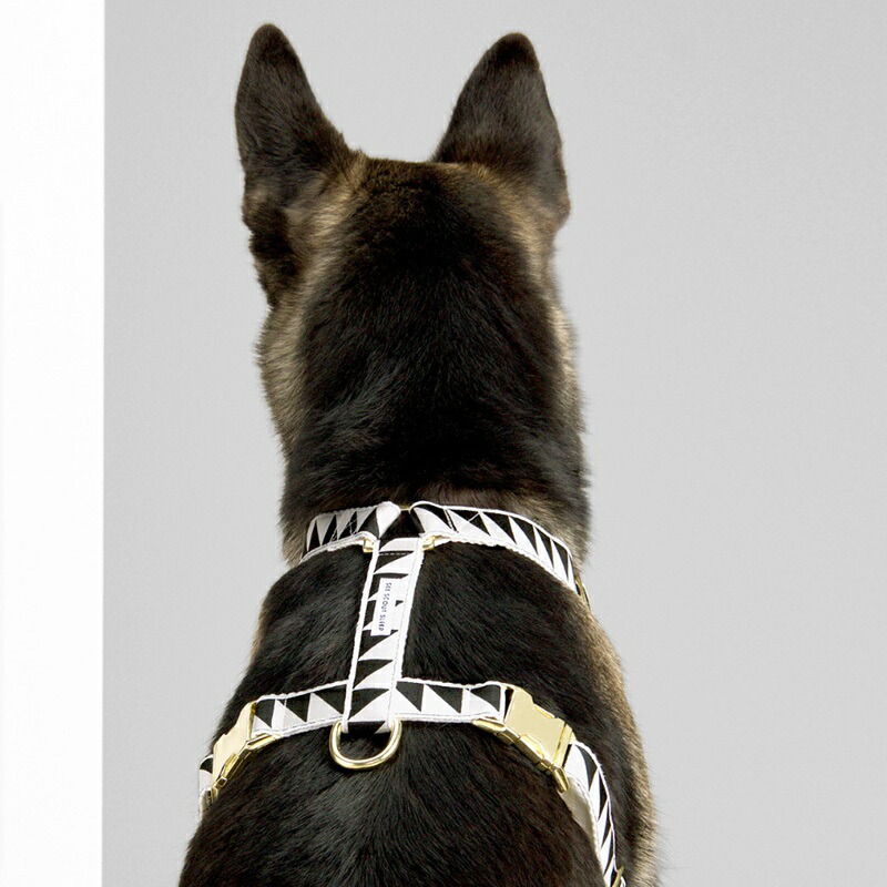 並行輸入品 犬用 ハーネス おしゃれ See Scout Sleep 25mm幅 Nice Grill L Xlサイズ 海外ブランド ファニー ユニーク デザイン 大型犬 Fucoa Cl