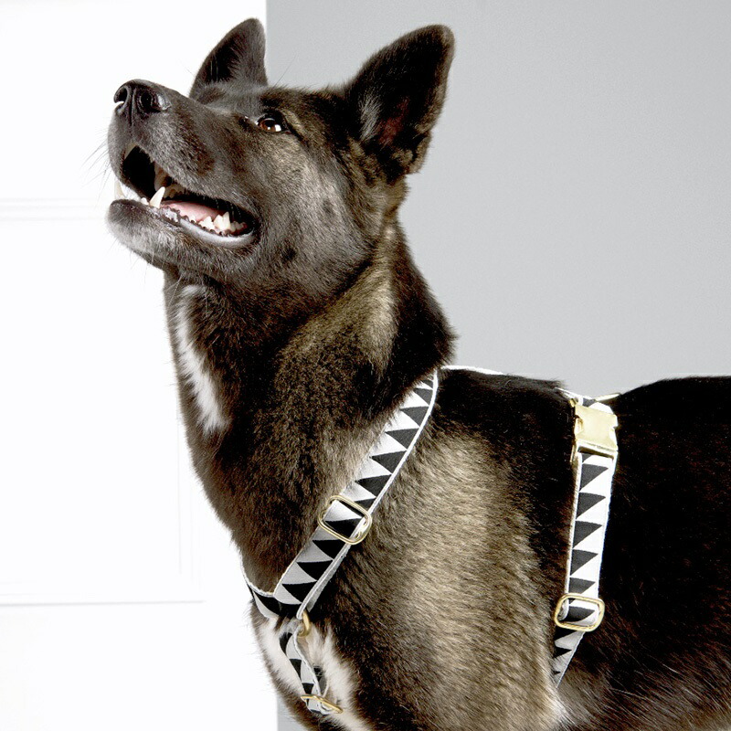 並行輸入品 犬用 ハーネス おしゃれ See Scout Sleep 25mm幅 Nice Grill L Xlサイズ 海外ブランド ファニー ユニーク デザイン 大型犬 Fucoa Cl 並行輸入品 犬用 ハーネス おしゃれ See Scout Sleep 25mm幅 Nice Grill L Xlサイズ 海外ブランド ファニー ユニーク デザイン 大型犬 Fucoa Cl