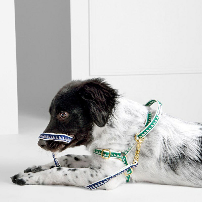 並行輸入品 犬用 ハーネス おしゃれ See Scout Sleep 25mm幅 Nice Grill L Xlサイズ 海外ブランド ファニー ユニーク デザイン 大型犬 Fucoa Cl 並行輸入品 犬用 ハーネス おしゃれ See Scout Sleep 25mm幅 Nice Grill L Xlサイズ 海外ブランド ファニー ユニーク デザイン 大型犬 Fucoa Cl