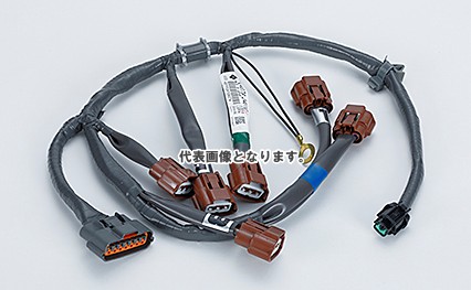 NISMO HARNESS EGI SUB 24079-RHR30 24079-RHR30｜ゼンリンドライバーズステーション 23,283円
