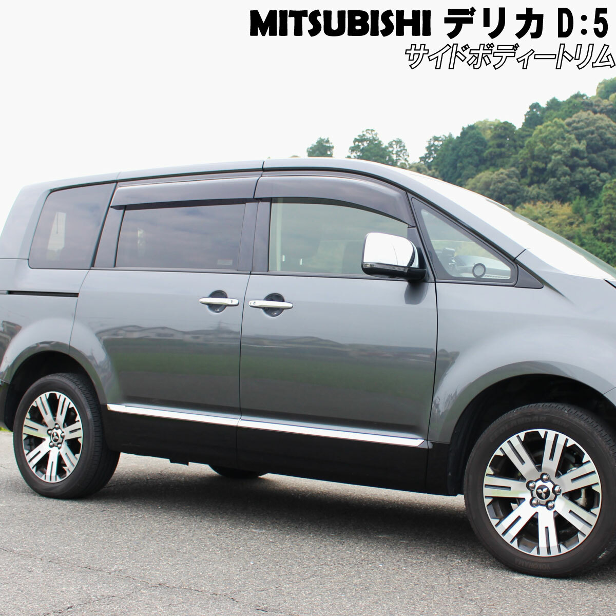 ずっと気になってた MITSUBISHI 三菱 デリカ D5 アクセサリ サイド