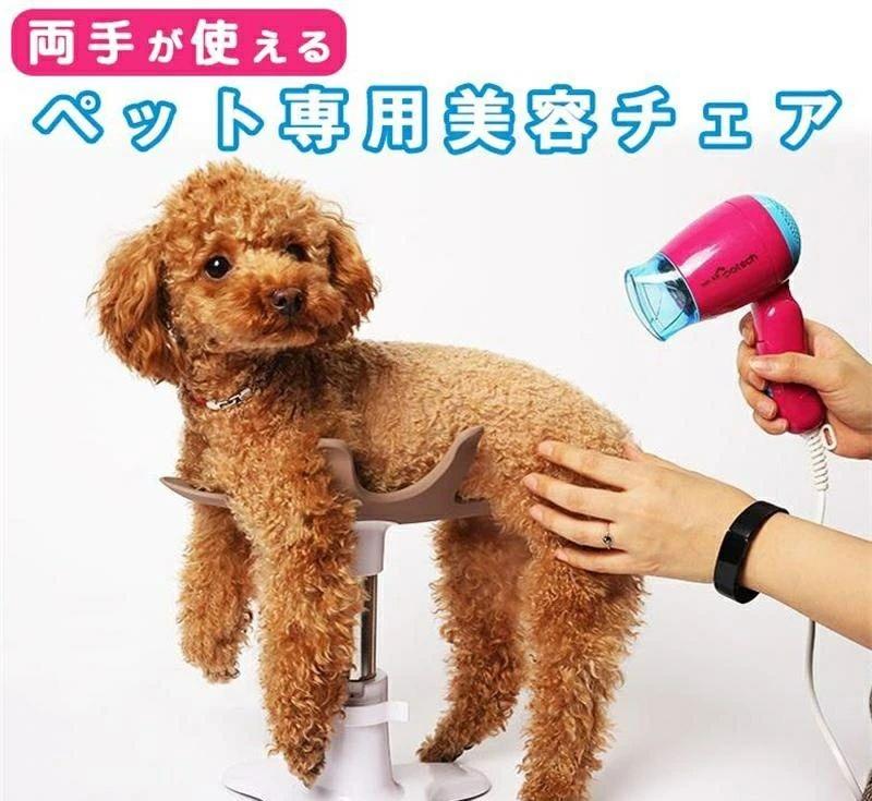 小型犬 美容女性議長 愛玩動物 犬 秘密捜査員 飼い犬 爪切り 爪きり つめきり つめ切り シャンプー台 ドライヤー