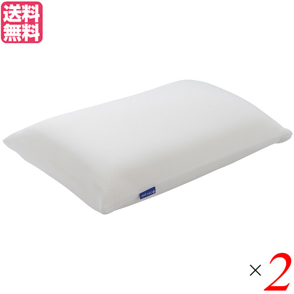 【4/10(金)限定！カードでポイント8倍！】枕 高反発 オーダーメイド ゼンケン 高反発枕 キュービックボディ枕 NPC-050 2個セット 送料無料