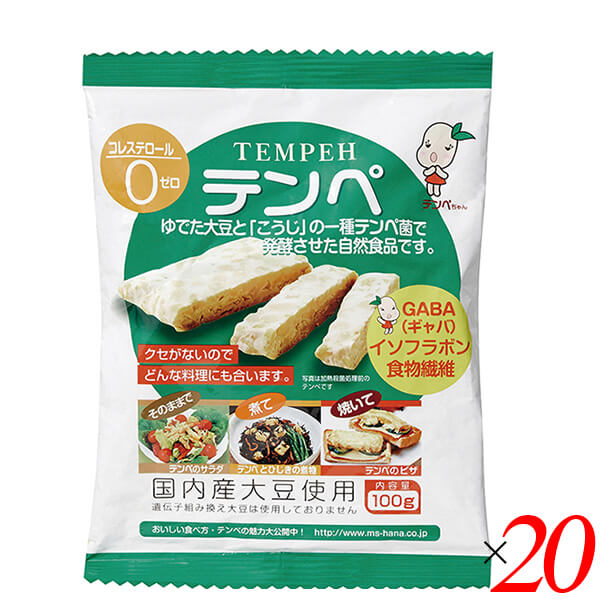 【5/25(日)限定！楽天カード利用でポイント8倍！】テンペ（レトルト）100g 20個セット マルシン食品 国産 大豆ミート 大豆肉 送料無料