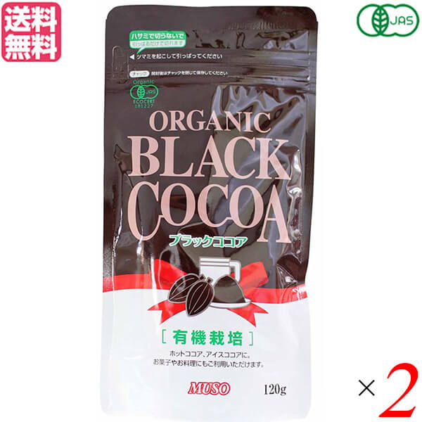 激安本物 ココア ココアパウダー 無糖 ムソー オーガニックブラックココア 120g ２個セット 送料無料  whitesforracialequity.org