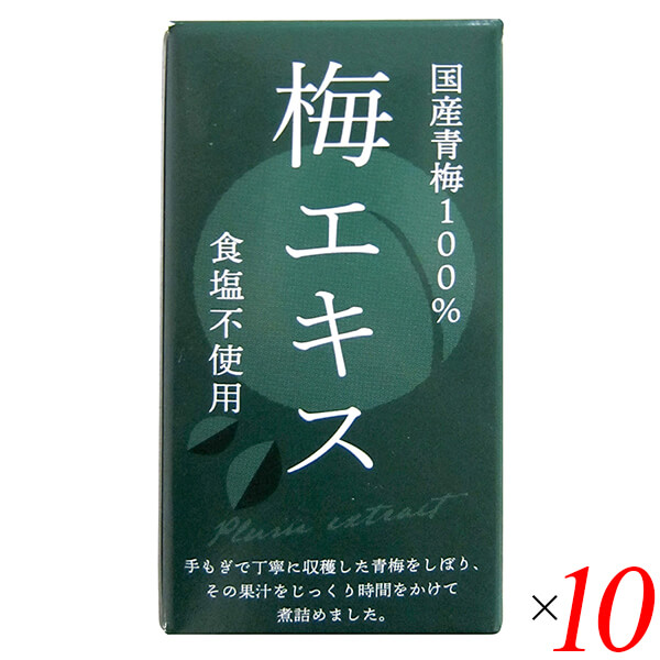 【マラソン限定！100円クーポン】梅 青梅 ペースト 特別栽培梅エキス 王隠堂 65g 10個セット 送料無料