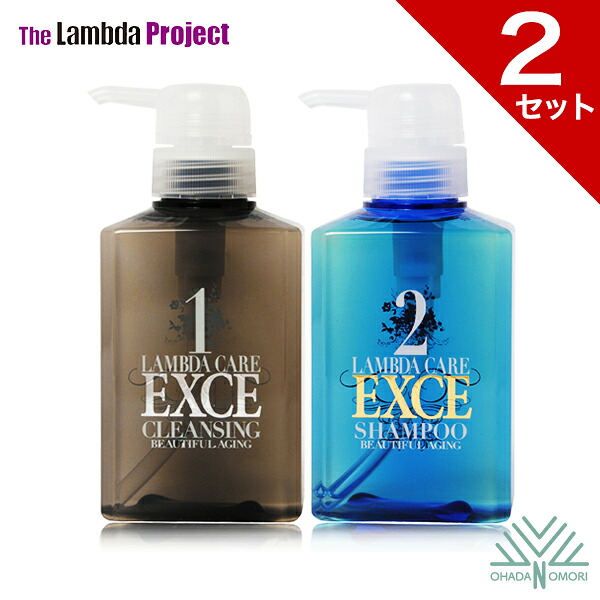 【お得な2セット】〈送料無料！〉[脂性肌用/オイリー]スカルプ クレンジング＆シャンプー ラムダケア「EXCE（エクシィ）」 各300ml×2セット 【男性に人気・おススメ♪】【ノンシリコン・ふけ・フケ・かゆみ 予防 対策】
