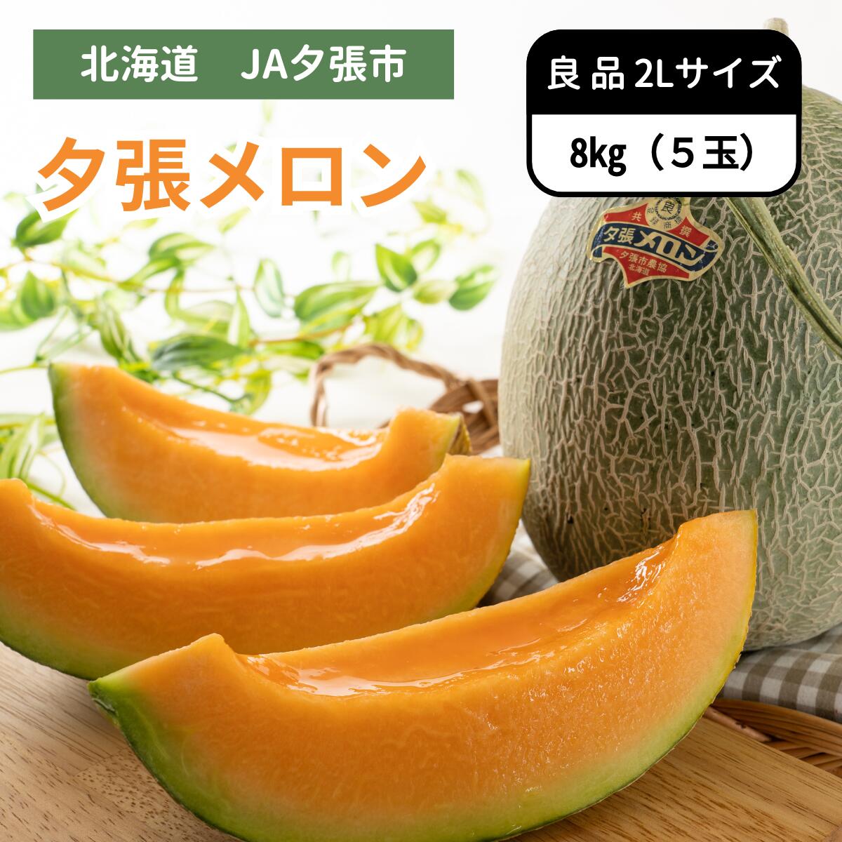 北海道 夕張メロン 良品 2Lサイズ 5玉 JA夕張市 6月下旬発送開始|全農食品オンラインショップ