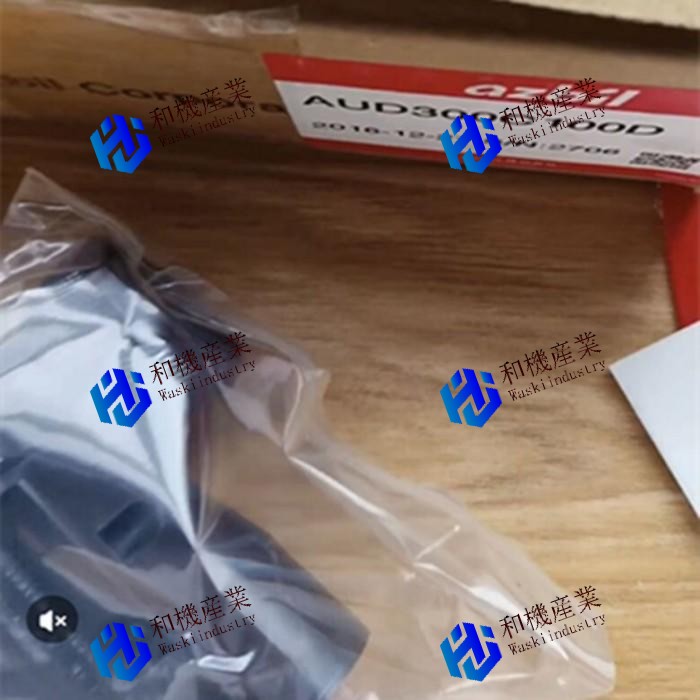 【新品★送料無料】AUD300C100D【６ヶ月保証】