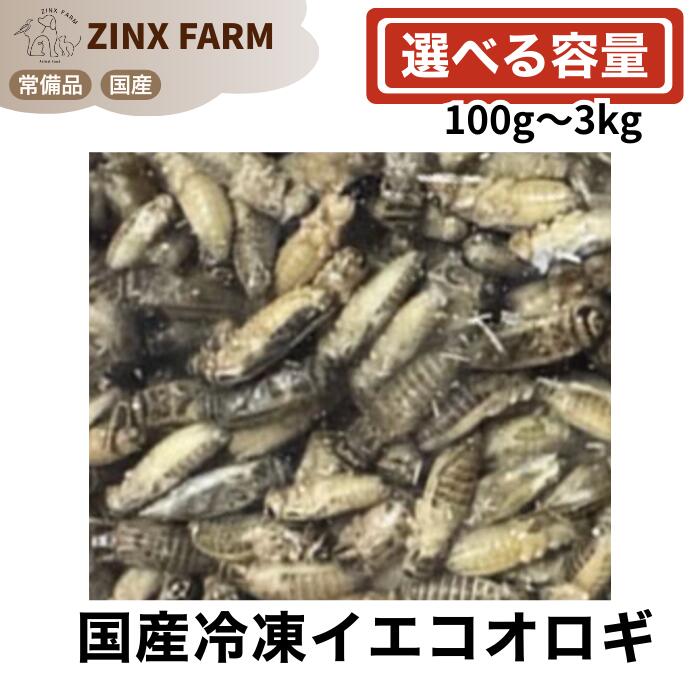 【国産】冷凍イエコウロギ イエコ マウス等との同梱可 選べる容量 100g 200g 300g 400g 500g 750g 1kg 1.5kg 2kg 3kg 処理済 爬虫類用 食虫動物用 餌 エサ フード｜ジンクス店