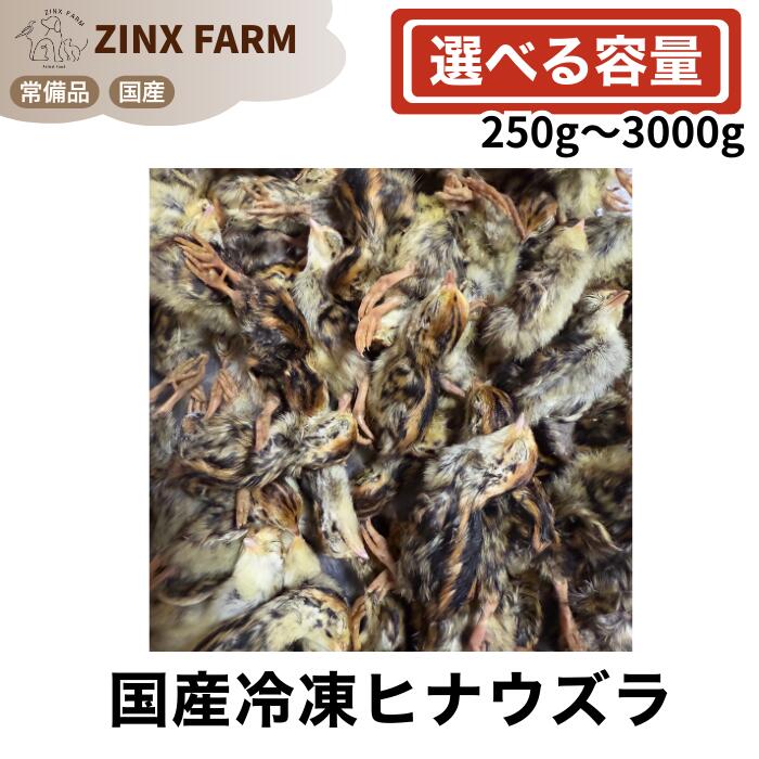 国産 封鎖 ヒナウズラ 未取り計らう 即日送りとどける 同梱可 選べる電気容量 250g 500g 1kg 1.5kg 2kg 3kg うずら 餌 雛ウズラ