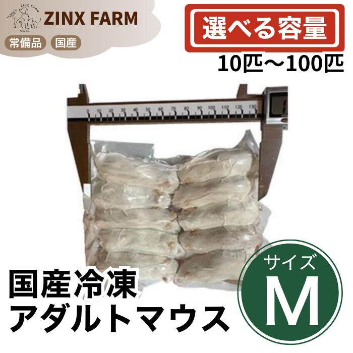 【国産】冷凍アダルトマウス M 同梱可 選べる容量 10匹 20匹 30匹 50匹 100匹 エサ 餌 フード 冷凍マウス ネズミ ねずみ 小動物 爬虫類 両生類の餌|ジンクス店