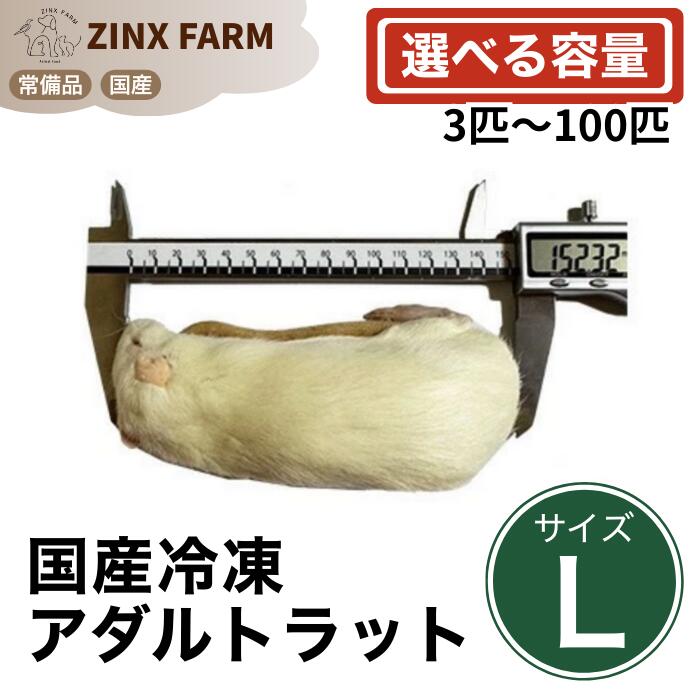 【国産】冷凍アダルトラット Lサイズ ＠180~200g 同梱可 選べる容量 3匹 5匹 10匹 15匹 30匹 50匹 100匹 エサ 餌 フード 冷凍ラット ネズミ ねずみ 小動物 爬虫類 両生類の餌 フード エサ｜ジンクス店