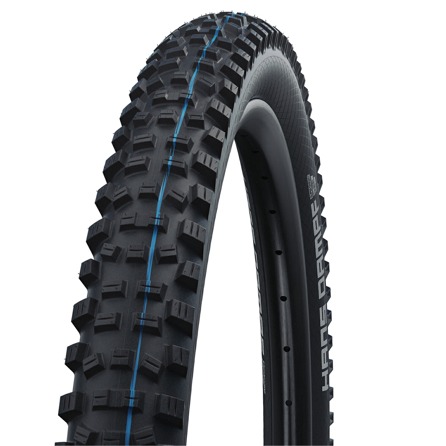 ● [国内正規代理店品] SCHWALBE(シュワルベ) HANS DAMPF (ハンスダンプ) 27.5&times;2.60 MTB タイヤ TLE(チューブレスイージー) ブラック SW-11601106.01【北海道・沖縄・離島地域 配送不可】｜ジテンシャデポ