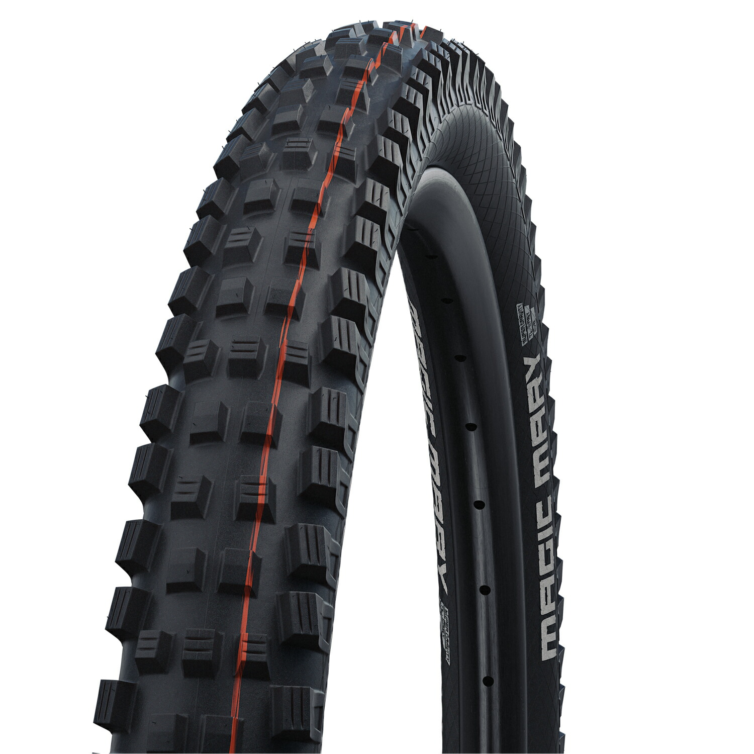 マジックマリー　ビックベティー　mtb タイヤ　29インチ Amazon | シュワルベ(SCHWALBE)【正規品】マジックマリー 29x2