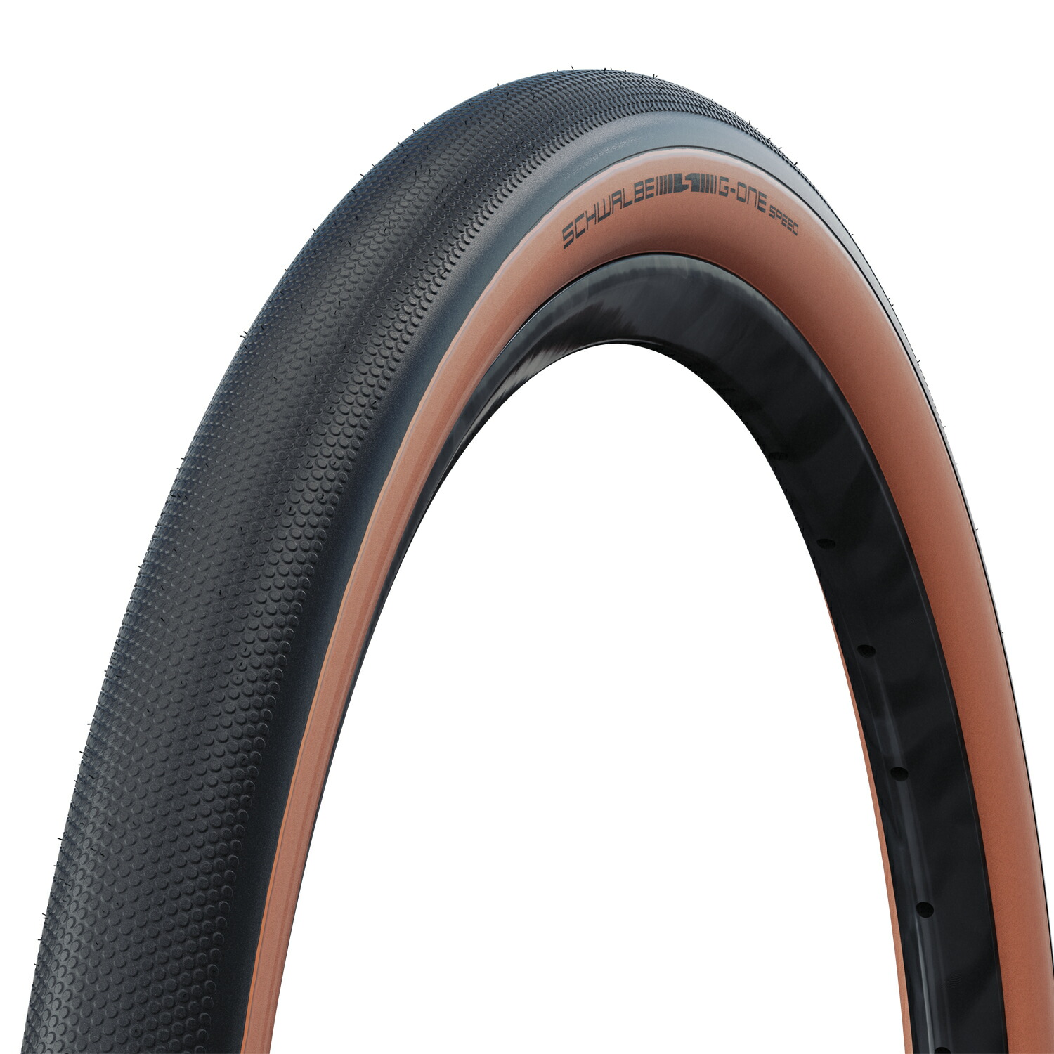 楽天市場】○[1本or2本] [国内正規代理店品] SCHWALBE