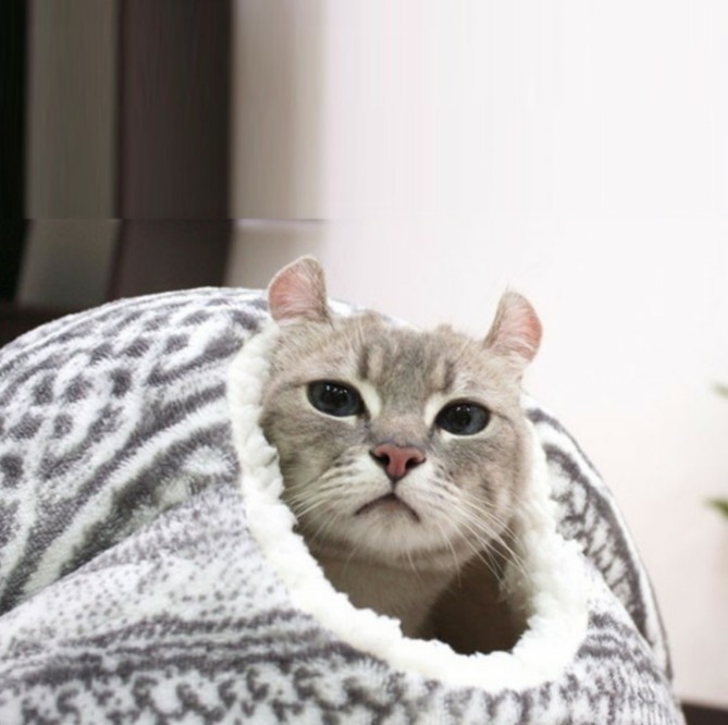 ふるさと割 ネコ猫ベッド Cat仔猫 グレー 猫好き ペット用クッション室内小屋ネコクッションペットハウス Whitesforracialequity Org