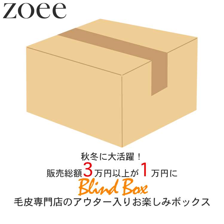 返品代替え不可 3一万円型以上本にが1万円 超お利な毛革専門職販売店のお御慰み筐 レディース アウター 小物 福袋 組み物品 M L 2l 3l Blindbox1 Earthkitchen Ph