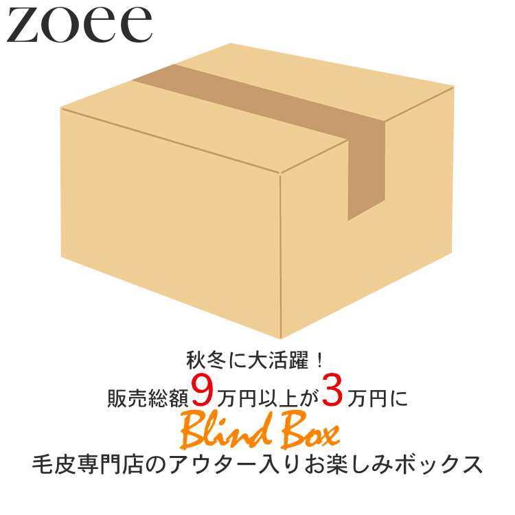 【最終局面大売り出し】【レディース福袋】【返品取り替えっこ不可】9万円以上好いかげんにが3万円! 超お得なレディース 本革獣の皮アウター 小物  仕掛ける商いもの  M/L/2L/3L blindbox3