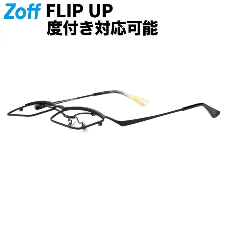 zf242009_14f1.jpg