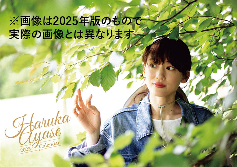 綾瀬はるか　2003年　カレンダー　Ｂ２サイズ 綾瀬はるか 写真集