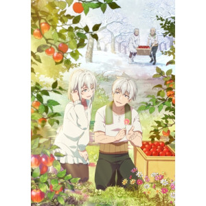 BD / TVアニメ / じいさんばあさん若返る Blu-ray BOX(Blu-ray) / ZMAZ-17531｜靴下通販ZOKKE