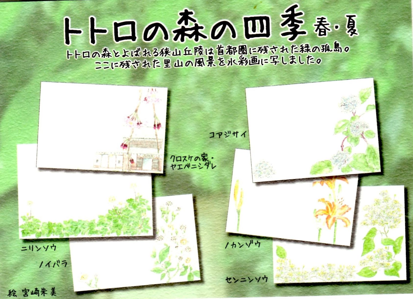 のりたま レオ・ロー A4ポスター+ポストカード・ポストカード・手幅・栞 psnormal.jpg