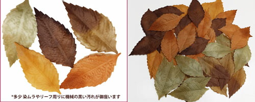 楽天市場】[即日出荷] 落ち葉【秋の装飾品】枯葉リーフ ミックス 50枚