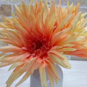 楽天市場】[最短出荷 残りわずか]ガーベラ(YE・4本set) スパイラル